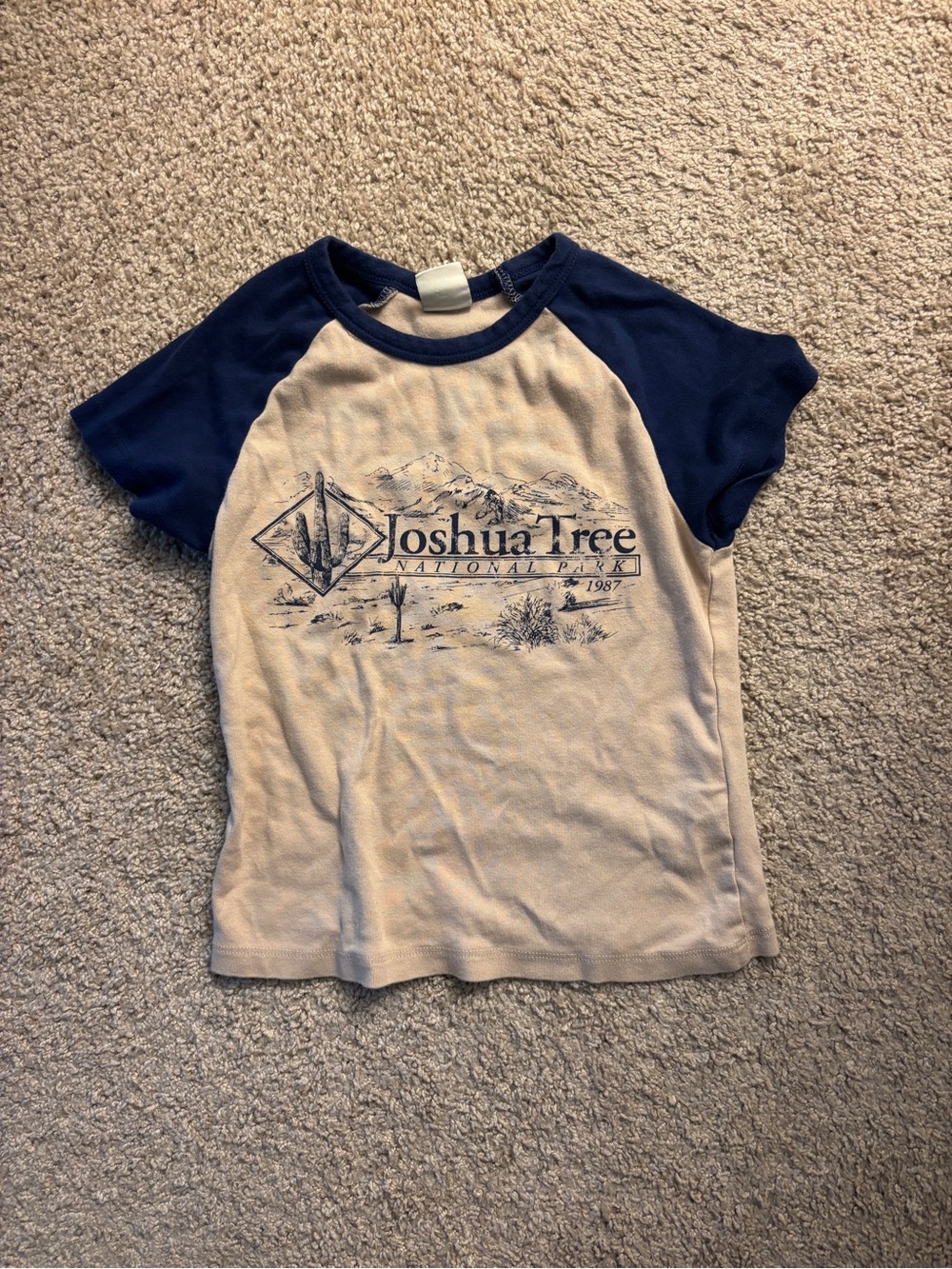 Joshua Tree Urban Outfitters Baby Tee